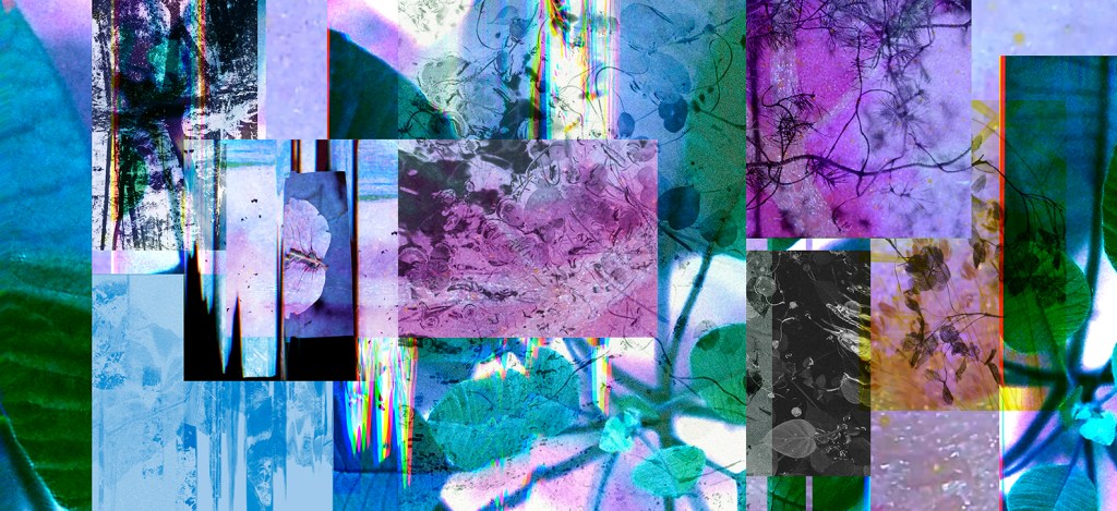 Un collage de plantes et de feuilles dans des couleurs vives.